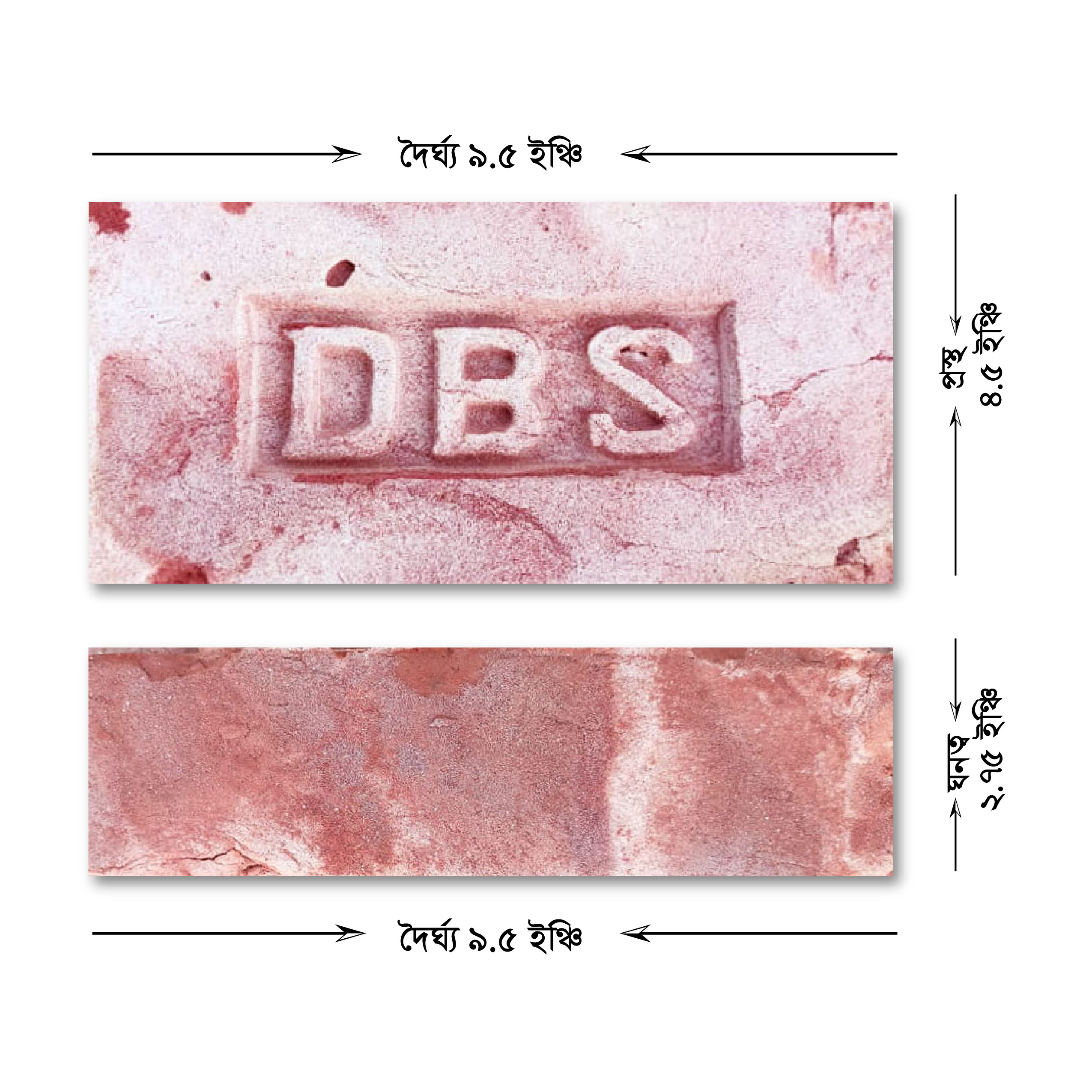 DBS Bricks