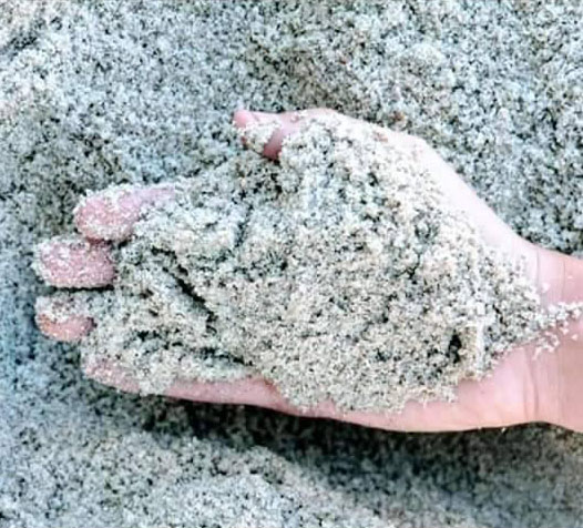 বিটি বালি 