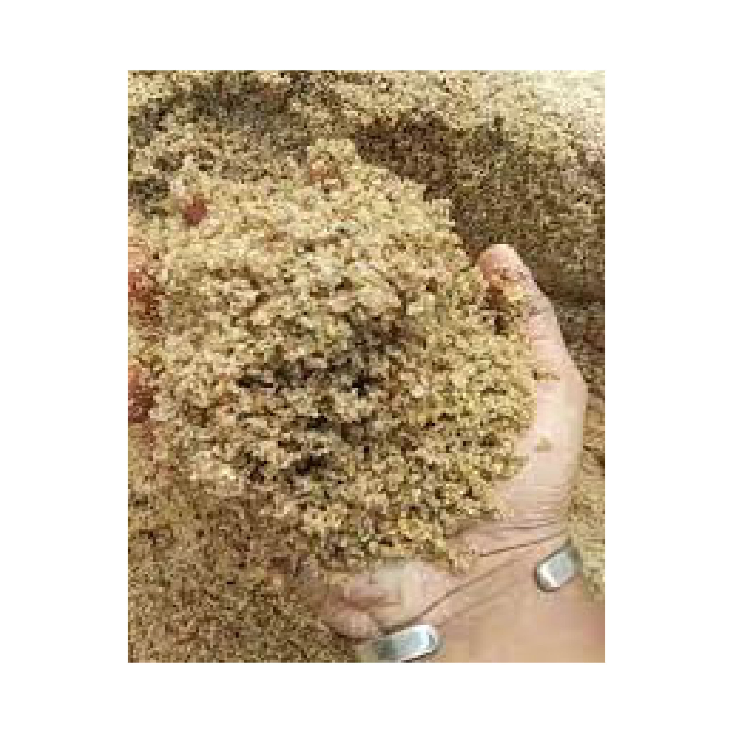 আস্তর বালি